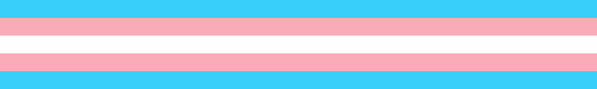 Trans Day of Visibility – 31 March 2025